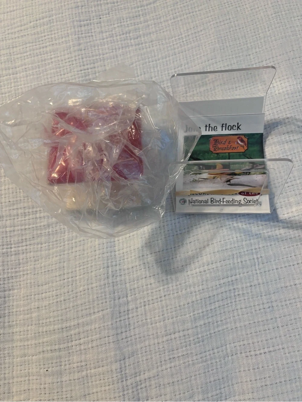 The Nectar Bar Hummingbird Feeder - Red/Clear